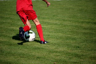 Jiuyou-中国篮球青年运动员选拔体系研究，中国篮球国家青年队选拔方式