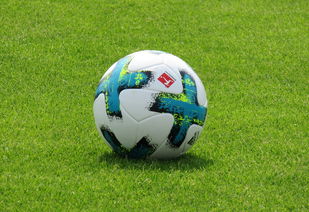 九游网页版官网-德甲防守战术转变对定位球防守效果的影响分析，德国足球防守大师