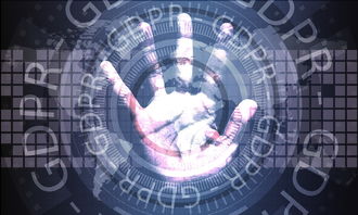 九游-数字化体育场馆管理平台建设与应用分析，体育场馆智能化系统